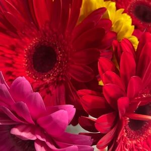 Meet your Posher, Tanya